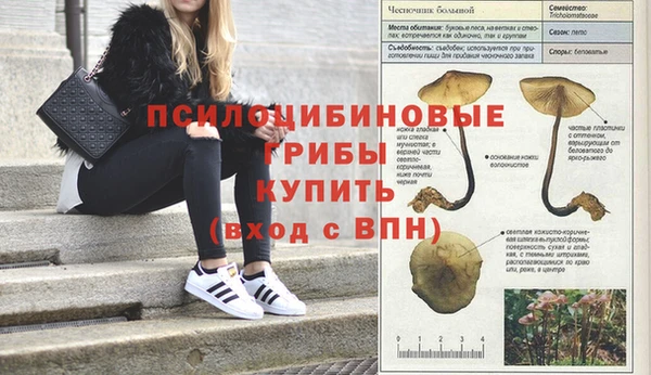 гашишное масло Абинск